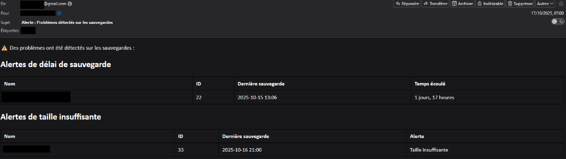 Capture email d alerte (anonymisee)